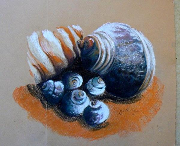 Shells