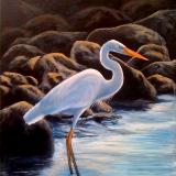 Heron 16x20 canvas in acrylic