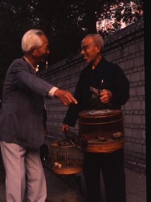 Chinese men Discussing birds