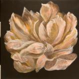 Peony Peony