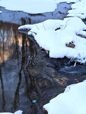 Big Pond Winter Stream Big Pond Winter Stream