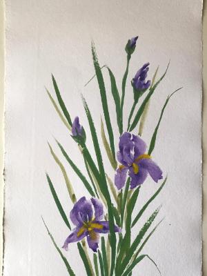 36x24" Irises(24x36") (available) 36x24" Irises(24x36") (available)