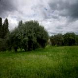 Hadrian's Palace, Rome