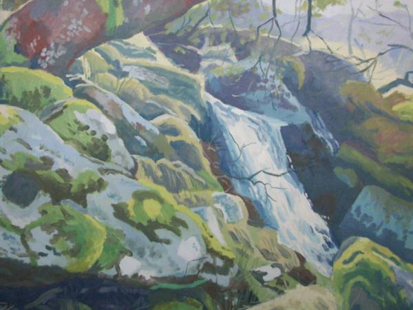 Dartmoor stream near Meldon reservoir