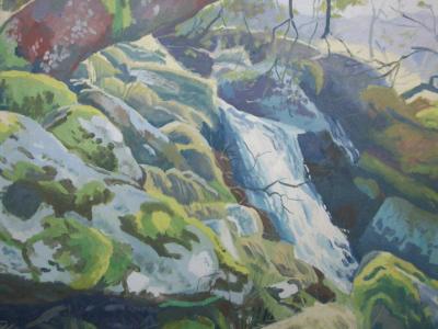 Dartmoor stream near Meldon reservoir