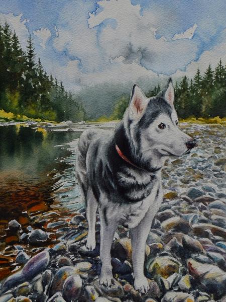 Custom portrait of a Husky, 38cm x 28cm, 2020