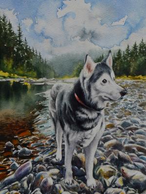 Custom portrait of a Husky, 38cm x 28cm, 2020 Custom portrait of a Husky, 38cm x 28cm, 2020