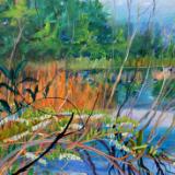 Landscapes Landscapes