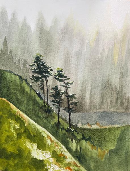 Pines Above Howard Creek