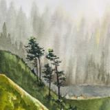 Pines Above Howard Creek
