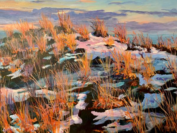 IBSP Dune in Snow