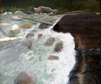 Humber River Rush Humber River Rush