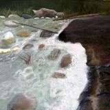 Humber River Rush