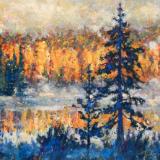 Golden Morning in Algonquin Park, Ontario