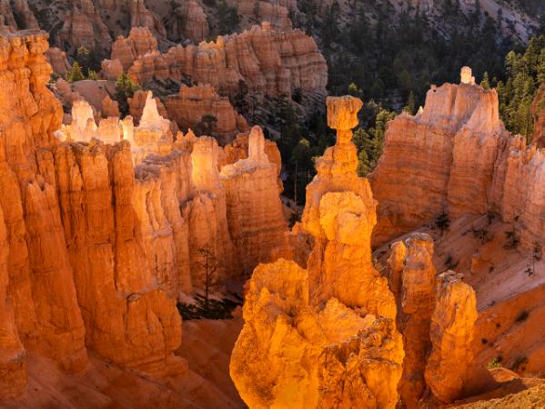 Magic Morning Light at Sunset Point