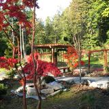 view of garden and arbor from studio