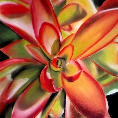 "Campfire Jade" "Campfire Jade"