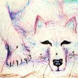 katnaj Artworks    *Colors in Harmony*   Earth,  Life,  Nature