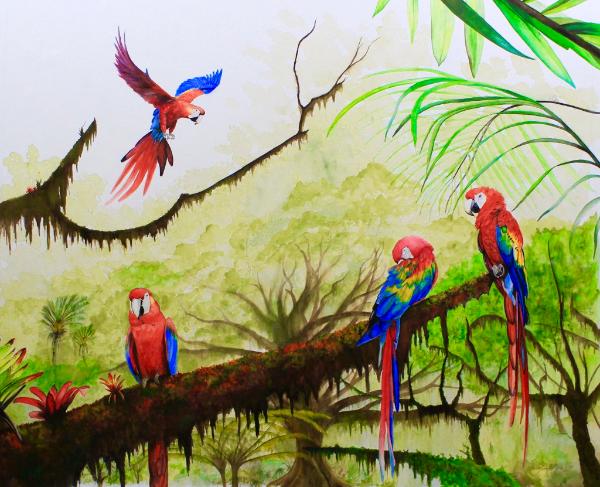 Parrot Bay