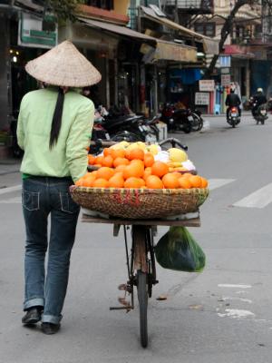 Orange Vendor Orange Vendor