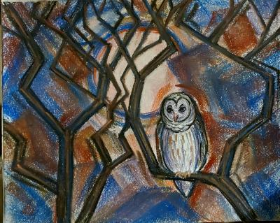 Owl in Moonlight