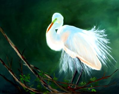 Great White Egret on Branches - 16x20