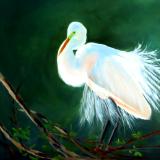 Great White Egret on Branches - 16x20