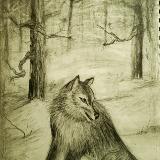 Cry Wolf