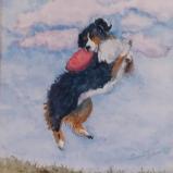 Lilly - Susan Tolson, Artist