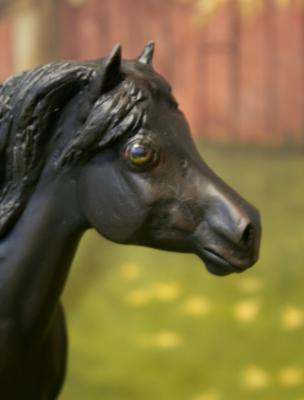 Breyer - 'Welsh pony' Custom SOLD 