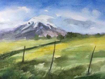 Watercolor demonstration on TV, 30cm x 20cm, 2019 Watercolor demonstration on TV, 30cm x 20cm, 2019