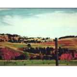 6 - field of hay, south dakota 6 - field of hay, south dakota