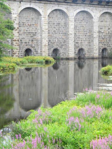 Spring at the Viaduct