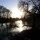 Reflections