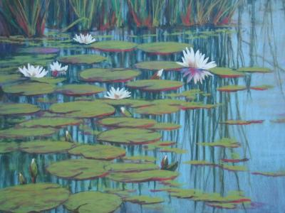 Water Lillies