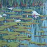 Water Lillies