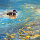 Wildlife