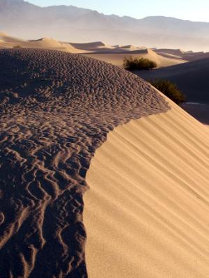 Sand Ridge Sand Ridge