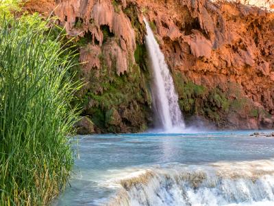 Havasu Falls Pool and Tall Grass Havasu Falls Pool and Tall Grass