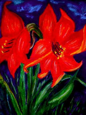 Fading Amaryllis