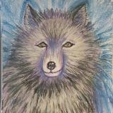 Silver Fox Portrait 
