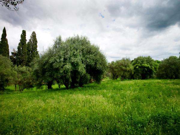 Villa Adriana (Hadrian's Villa)