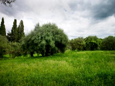 Villa Adriana (Hadrian's Villa)