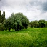 Iconic Italian Images