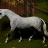 Peter Stone BRAIDED MANE PONY - Custom Repaint