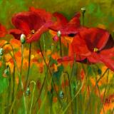 Red Poppies SOLD