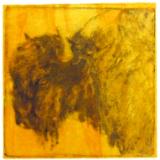 Bison Head (Yellowstone series)