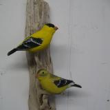 Pair Goldfinch #3