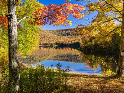 Sugar Maples on Colorful Catskills Lake Sugar Maples on Colorful Catskills Lake