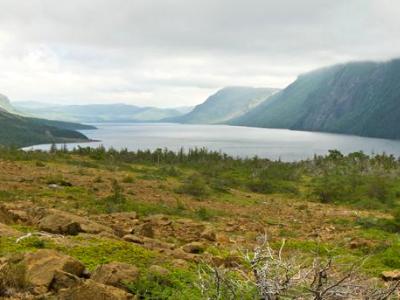 Trout River Pond Panorama Trout River Pond Panorama